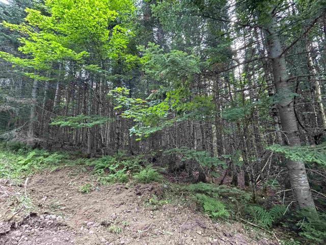 Land for sale in New Hampshire