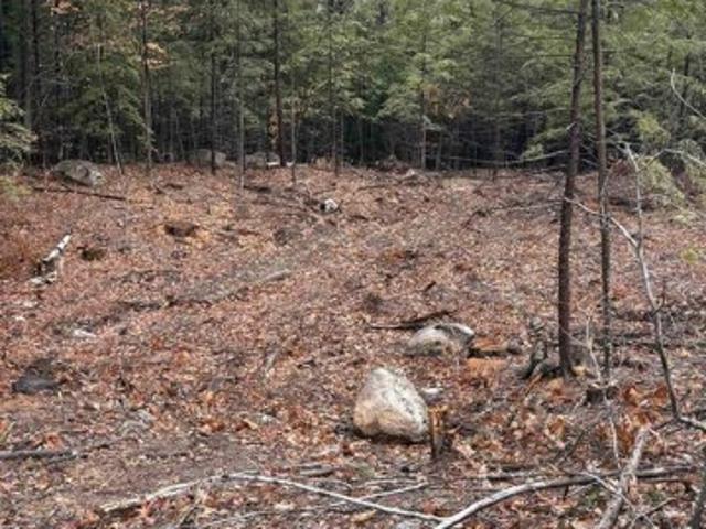 Land for sale in New Hampshire