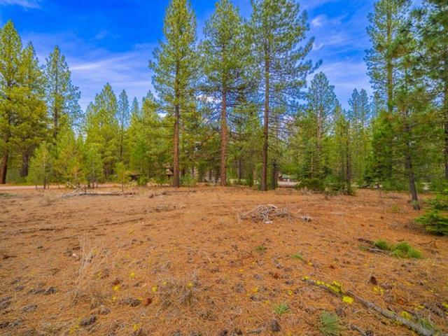 Land for sale in Shasta, California