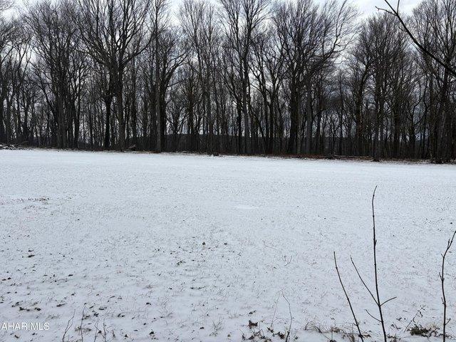 Land for sale in Blair, Pennsylvania