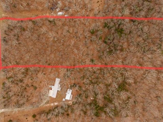 Land for sale in Fordland, Missouri
