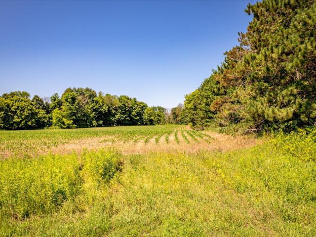 Land for sale in Minnesota
