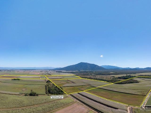 Property for sale in Lower Tully, Queensland