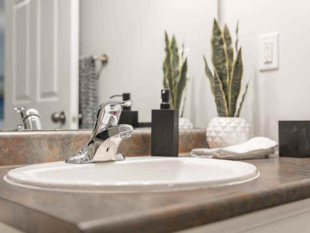 Apartment for rent in Arva, Ontario