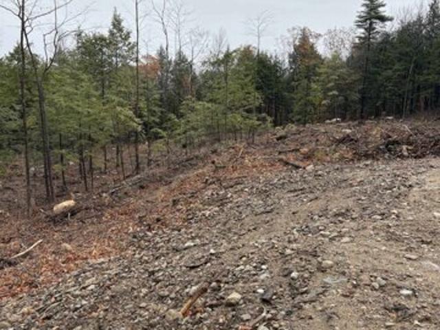 Land for sale in New Hampshire