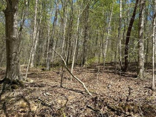 Land for sale in Alkol, West Virginia