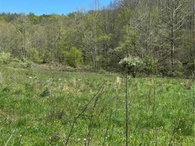 Land for sale in Alkol, West Virginia