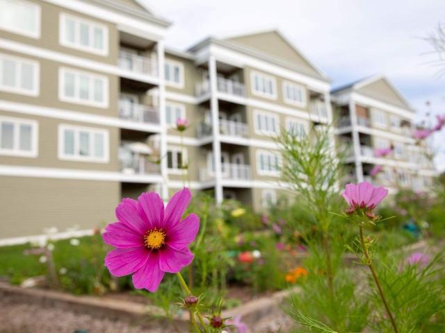 Room for rent in Wolfville, Nova Scotia
