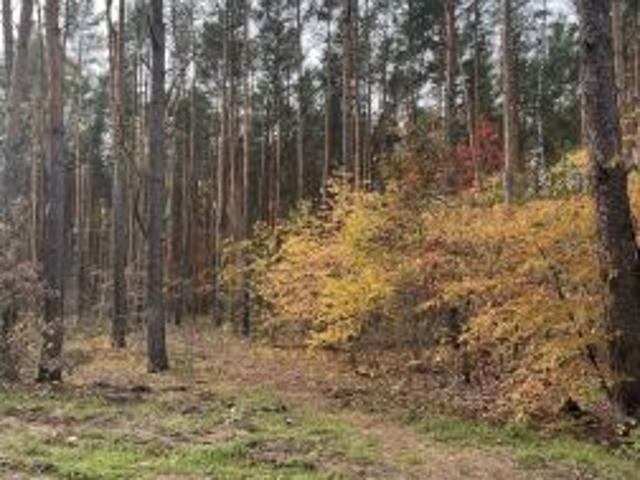 Grunt na sprzedaż w Sulejówek, Mazowieckie