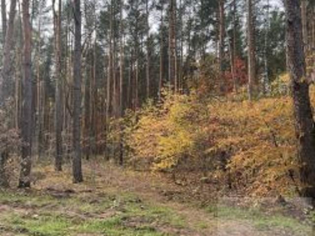 Grunt na sprzedaż w Sulejówek, Mazowieckie