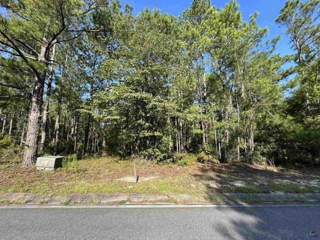 Land for sale in Kathleen, Georgia