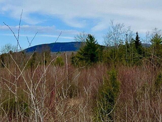 Land for sale in Sullivan, Maine