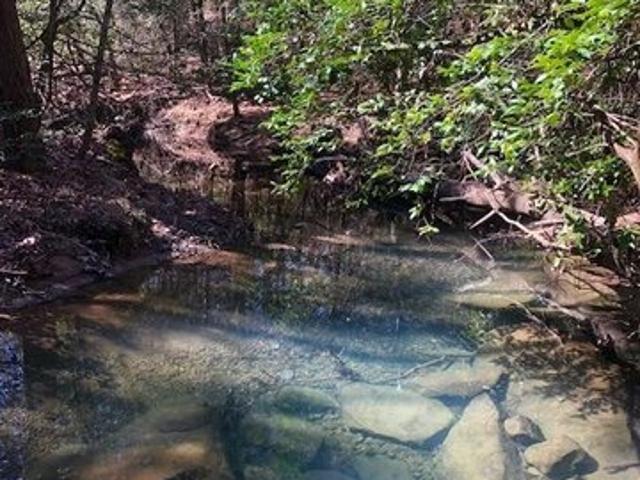 Land for sale in Tennessee