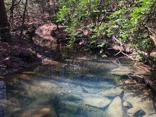 Land for sale in Tennessee