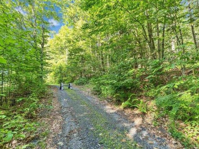 Land for sale in New Hampshire