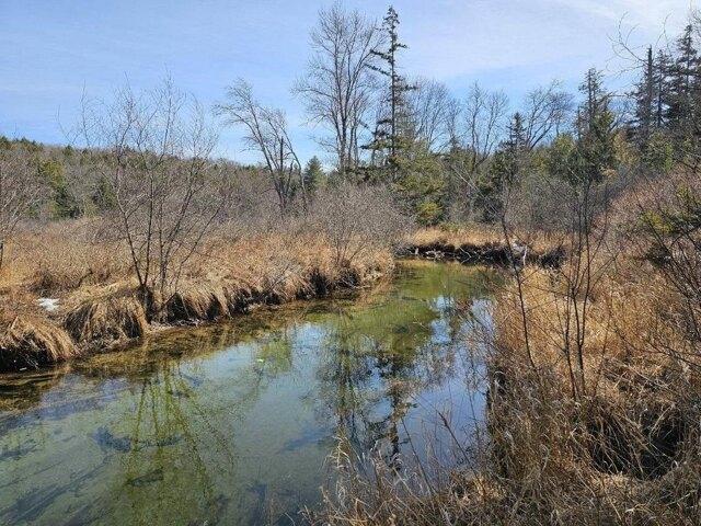 Land for sale in New Hampshire
