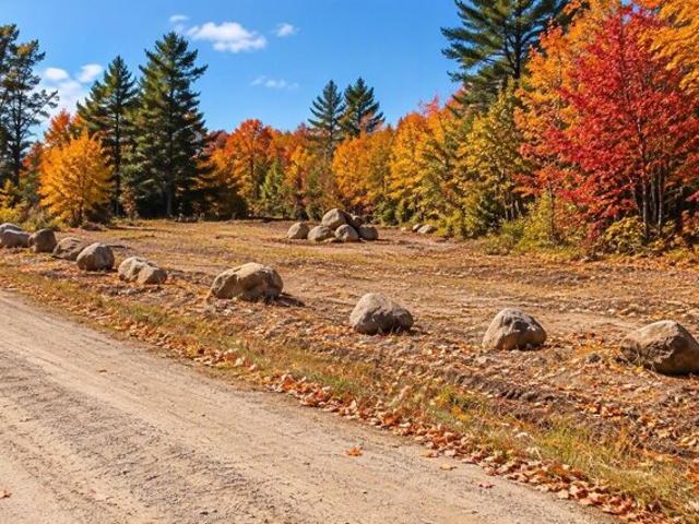 Land for sale in Stark, Coös County