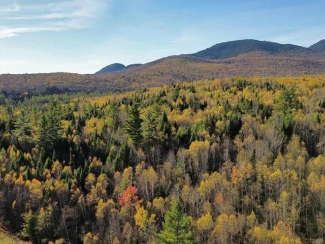 Land for sale in New Hampshire