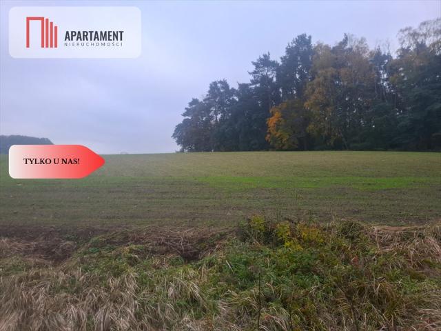 Grunt na sprzedaż w Świecie, Kujawsko-pomorskie