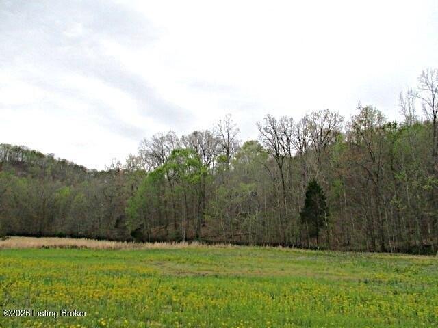 Land for sale in Nelson, Kentucky