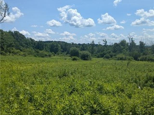 Farm for sale in Cold Brook, New York