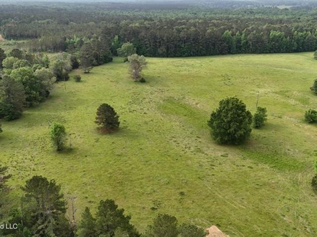Land for sale in Canton, Mississippi