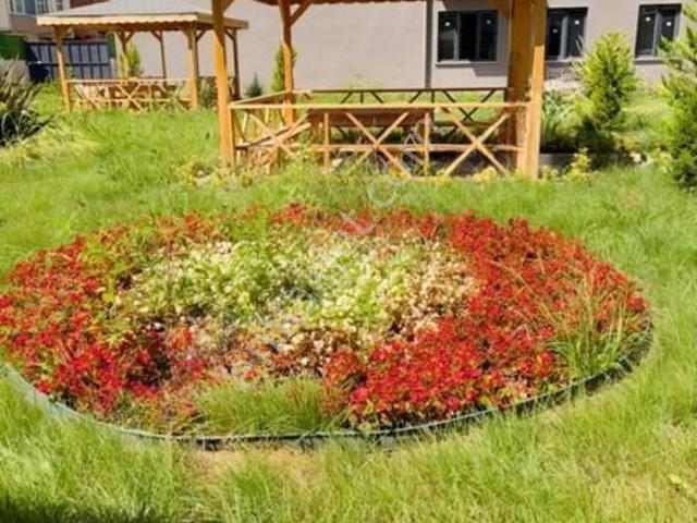 Ahmet Yesevi Mahallesi, Sultanbeyli içerisinde kiralık mülk