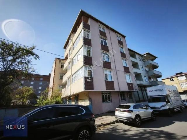 Yavuz Selim Mahallesi, Sultanbeyli içerisinde kiralık mülk