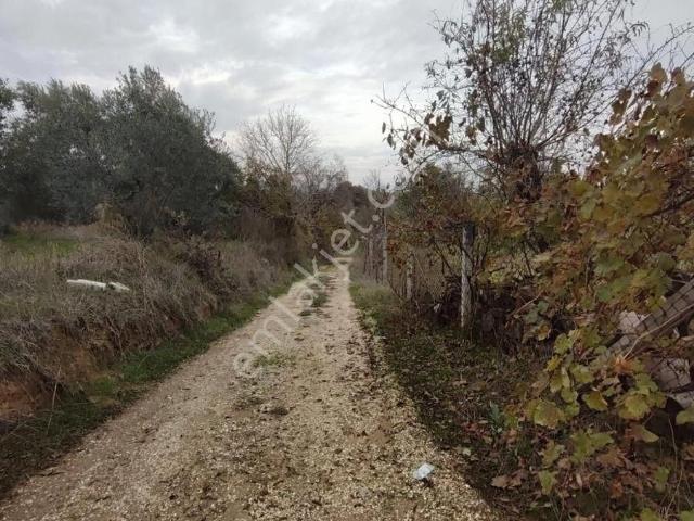 Sultanhisar, Aydin içerisinde satılık Bahce kati