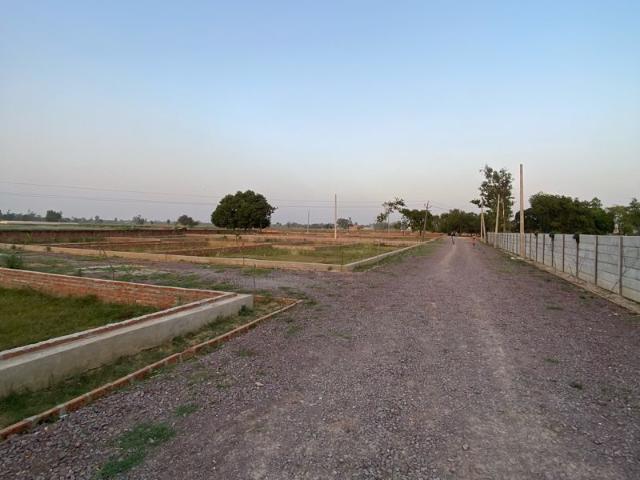 Land for sale in Lakhana, Arunachal Pradesh