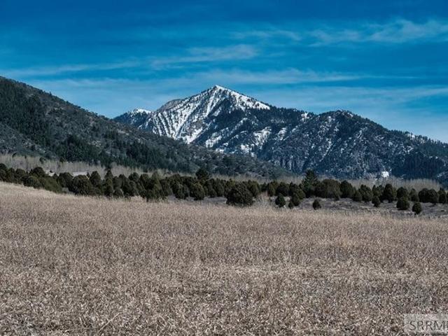 House for rent in Irwin, Idaho