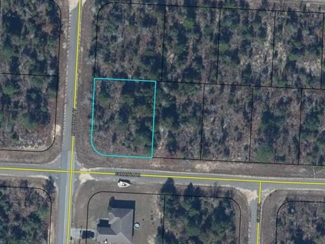 Land for sale in Chipley, Florida
