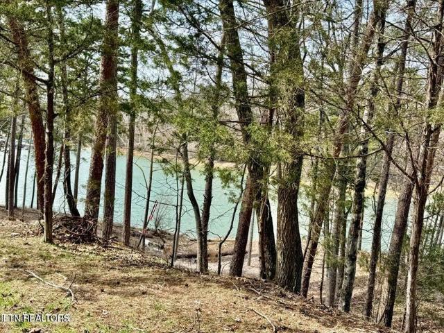 Land for sale in Tennessee