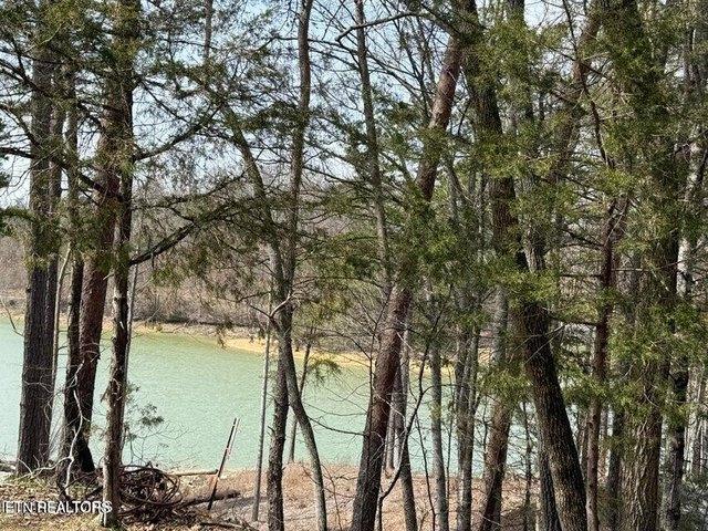 Land for sale in Tennessee