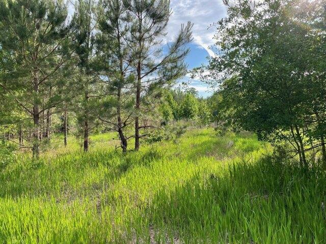 Land for sale in Barnwell