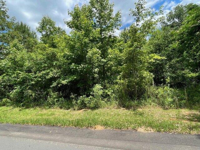 Land for sale in Barnwell