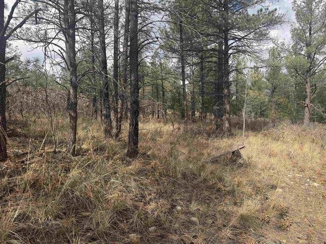 Land for sale in Timberon, New Mexico