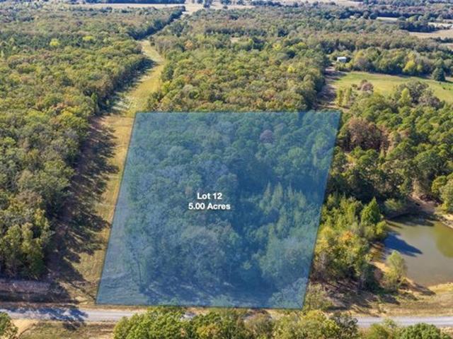 Land for sale in Quitman, Cleburne County