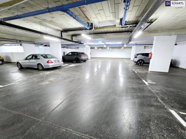 Penthouse kaufen in Wien, KG Atzgersdorf
