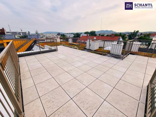 Penthouse kaufen in Wien