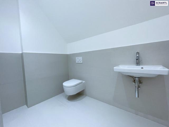 Penthouse kaufen in Wien, KG Strebersdorf