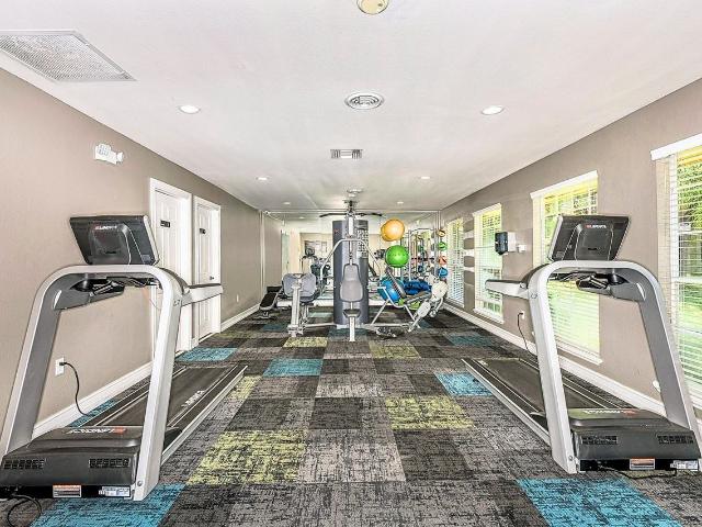 Apartment for rent in Winter Park, Florida