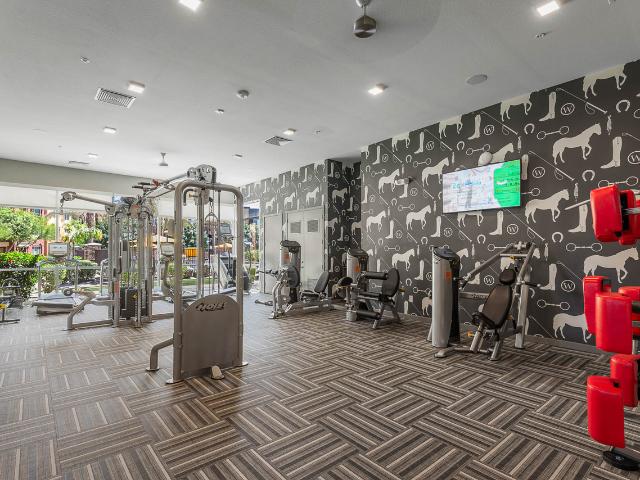 Apartment for rent in Glendale, Arizona
