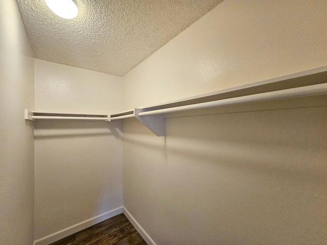 Apartment for rent in Lakeside