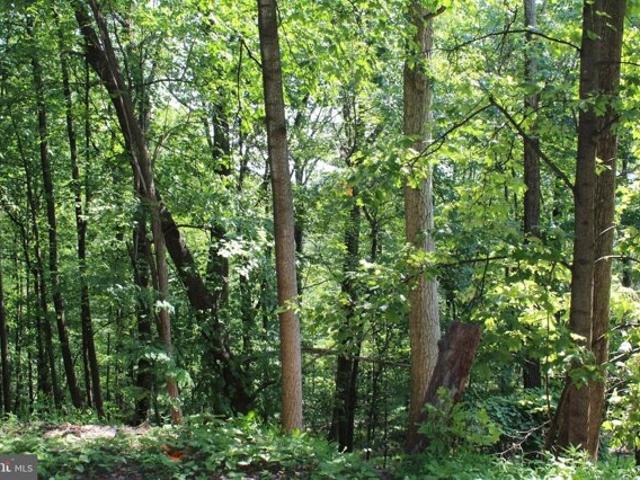 Land for sale in Haymarket
