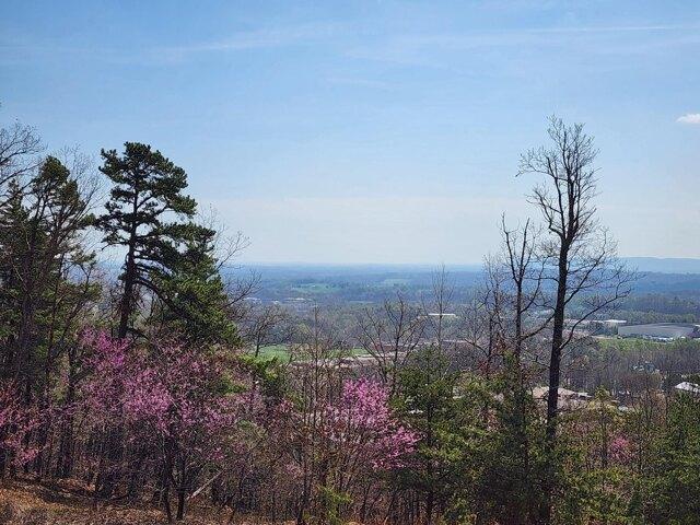 Land for sale in Virginia