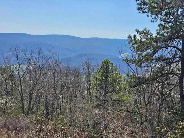 Land for sale in Virginia