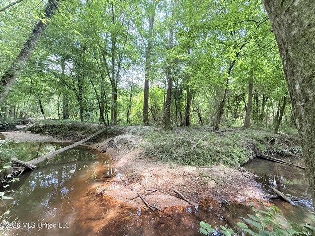 Land for sale in Summit, Mississippi