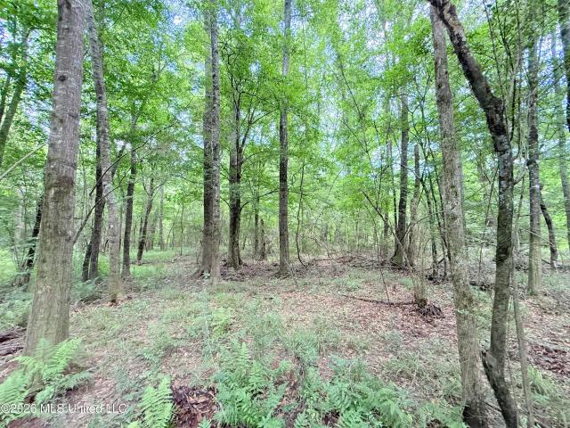 Land for sale in Summit, Mississippi