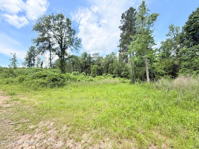 Land for sale in Summit, Mississippi